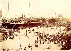 PO e- 468